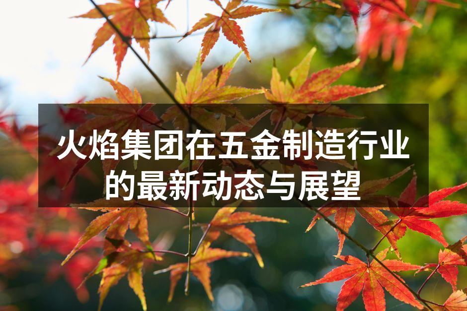 火焰集团最新产品展示会