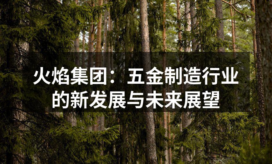 火焰集团的自动化生产线